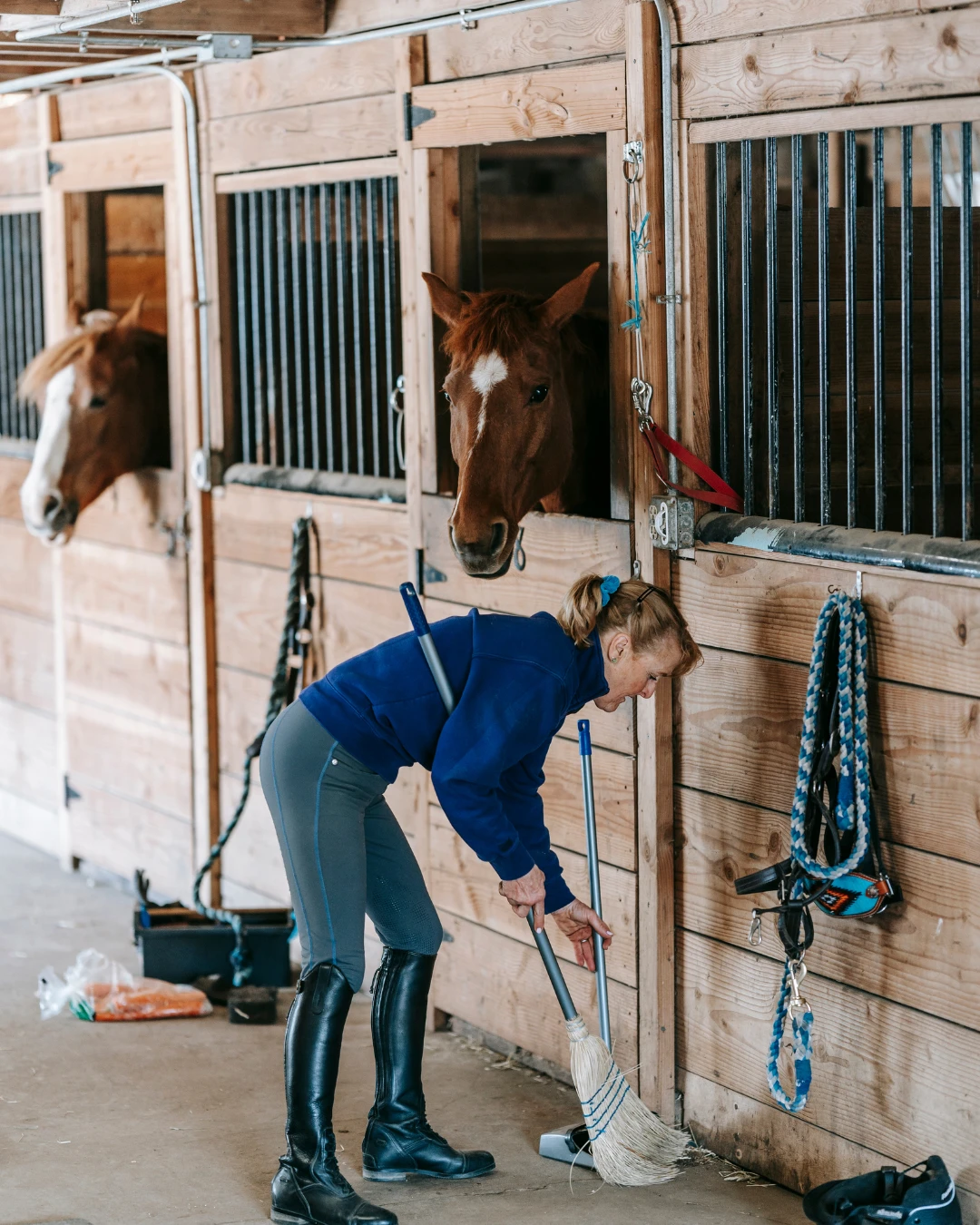 Grooms & yard care